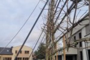 IMG-20250113-WA0054 IMG-20250113-WA0054